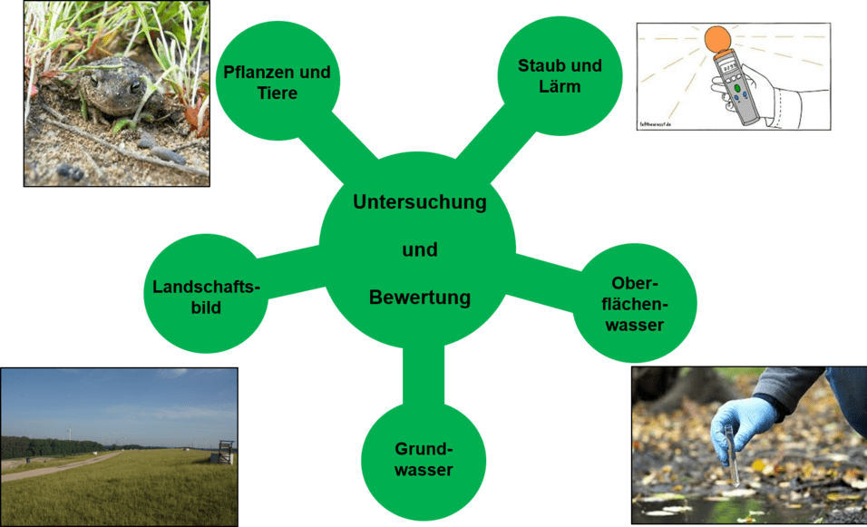 Grafische Darstellung eines Themas mit Bildern von Pflanzen, Tieren und Wassermessungen, um Umweltuntersuchungen zu verdeutlichen.